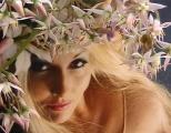 (2) yes close up.jpg - 696 x 540